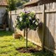thumbnail image 5 of Orchid Ground Planting Simulation Green Home Decoration Indoor Decoration With Ground Nail Flower Arrangement, 5 of 8