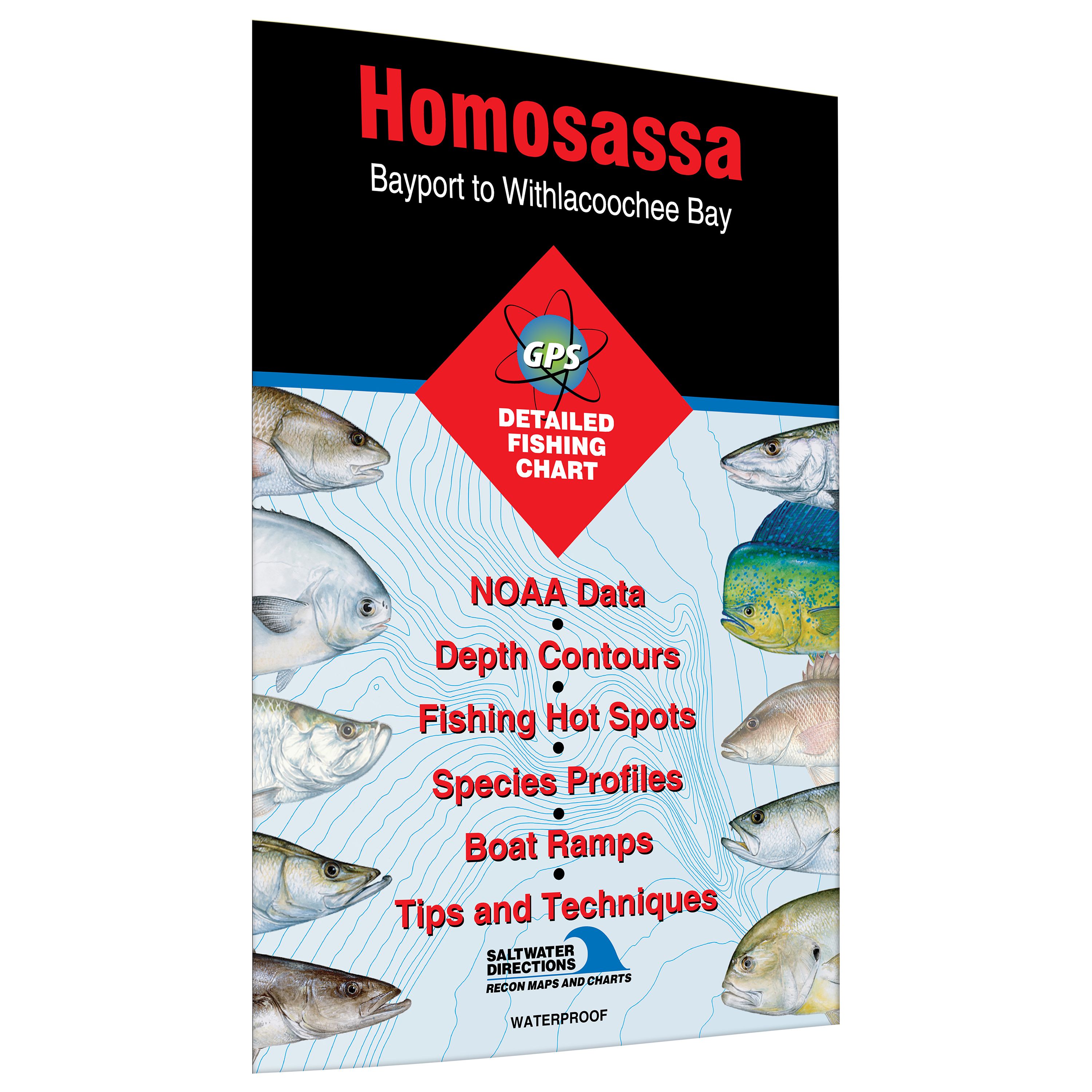 Homosassa Bayport To Withlacoochee Bay Fishing Map Walmart Com
