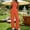 Set-246Orange, variant on LEWKW Women's Summer 2 Piece Sets Short Sleeve V Neck Button Down Top And Wide Leg Pants Matching Sets Casual Textured Lounge Outfits Vacation Streetwear