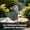 solar lights outdoor, variant on 1Pc Solar Cat Garden Ornament, Animal Sculpture Led Night Light, Yard Decor For Patio Lawn Pathway1Pc Solar Cat Garden Ornament, Animal Sculpture Led Night Light, Yard