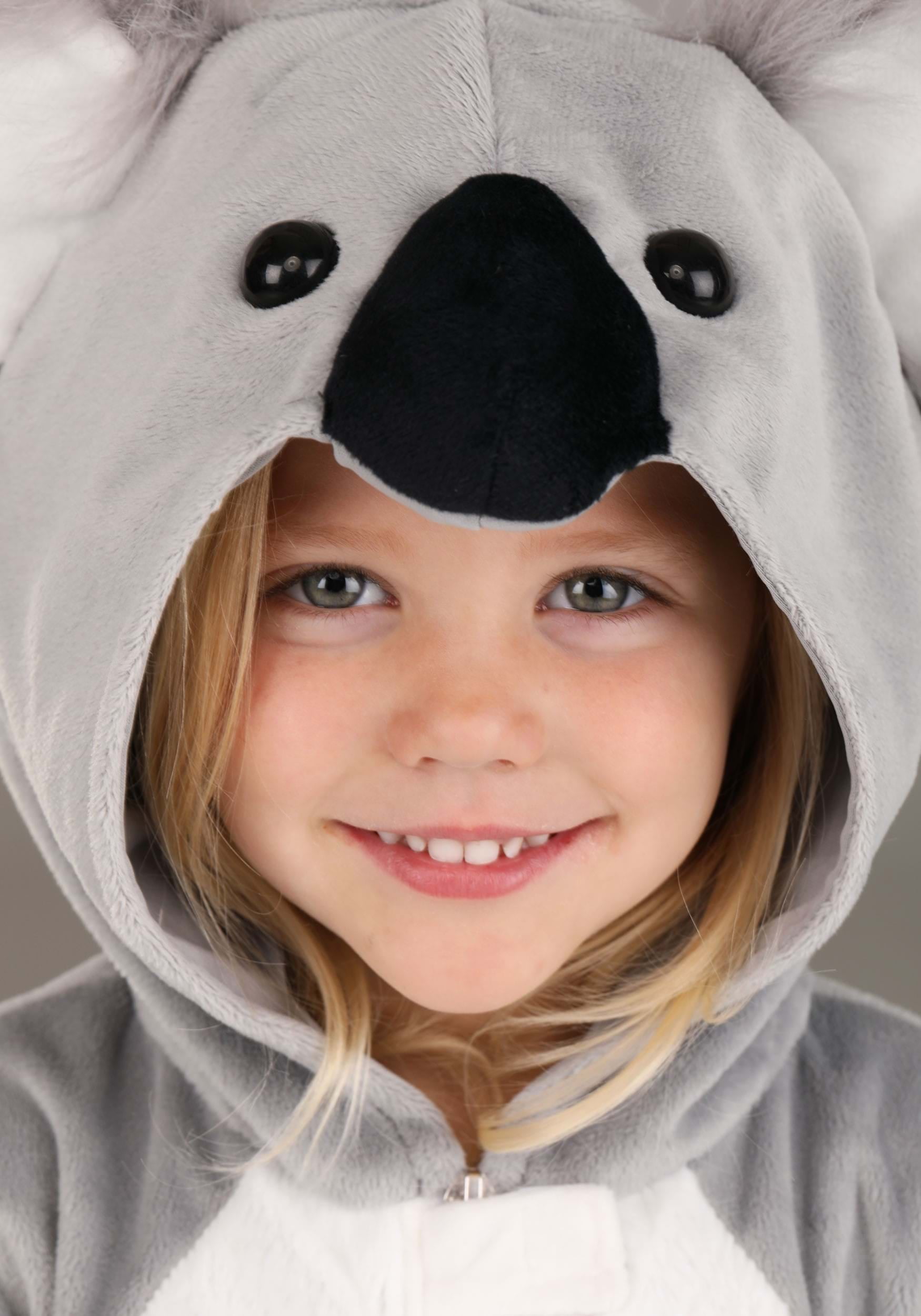 Koala Mignon Isolé Sur Fond Blanc | Photo Premium