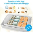 thumbnail image 4 of 15-35 Eggs Poultry Incubator with Auto  Turning & Temperature Display LED Candler for Chicken Duck Quail Eggs (Blue), 4 of 6