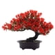 thumbnail image 5 of Plantas artificiales Bonsai Tree Wosthever 2piezas Rojo, 5 of 6