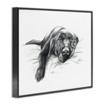 thumbnail image 3 of Stupell Industries Eclectic Naptime Black Labrador Black Framed Giclee Art, 14 x 11, by Lindsay Kivi Fine Art, 3 of 8