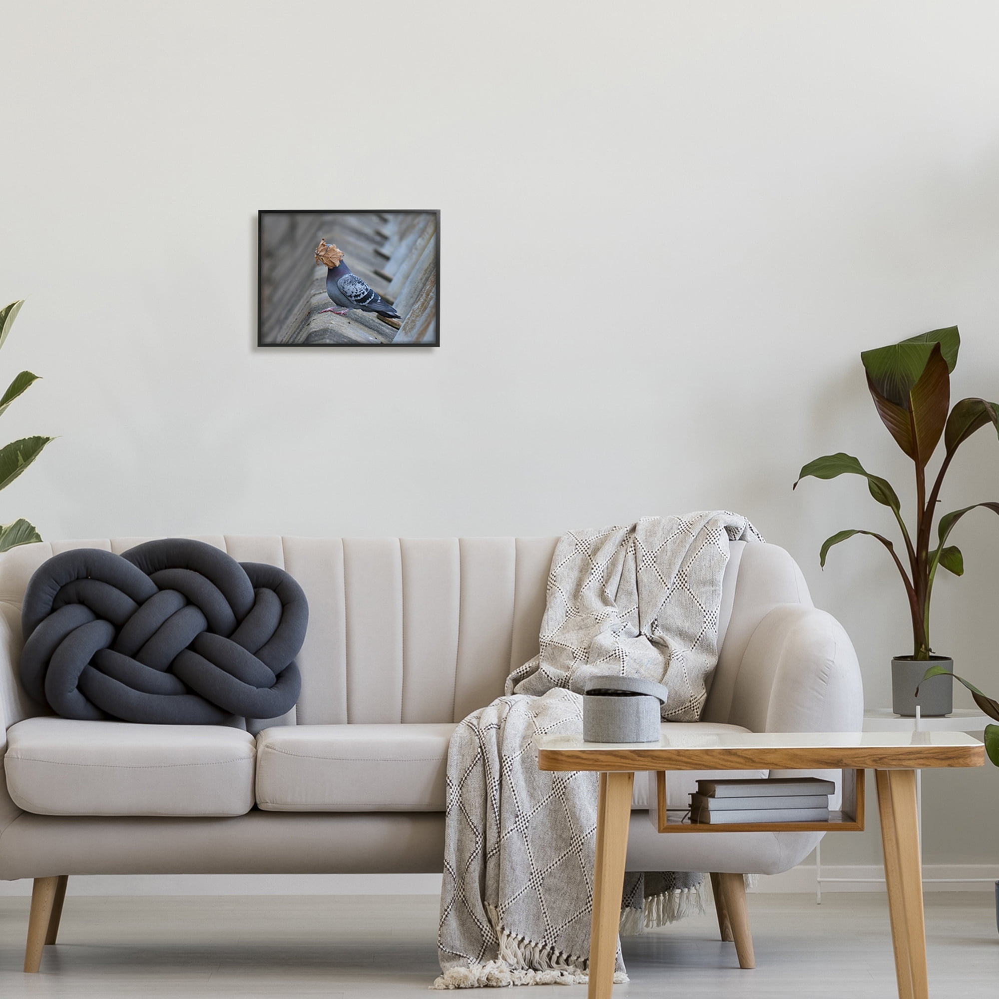 Stupell Industries Funny Leaf in Pigeon's Face Animals & Insects Photography Black Framed Art Print Wall Art, 14 x 11