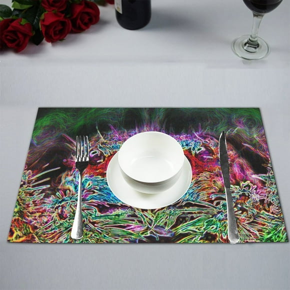 BSDHOME Jumping spider art project Kitchen Table Mat Placemats for Dining Table 12x18 inches