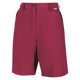 thumbnail image 2 of Regatta - Pantalones Cortos Chaska II para Mujer (Cereza Oscuro), 2 of 3