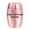 rose gold, variant on Mini Engraved Cremation Urns For Pet Human Ashes Casket Funeral Loss Of Love Stainless Steel Cremation Pet Ashes Box
