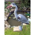 thumbnail image 5 of PondH2o Blue Heron Decoy with Legs & Stake 30'' (76cm) Tall, Adult Blue Heron Decoy for Yards & Water Garden Ponds, 5 of 7