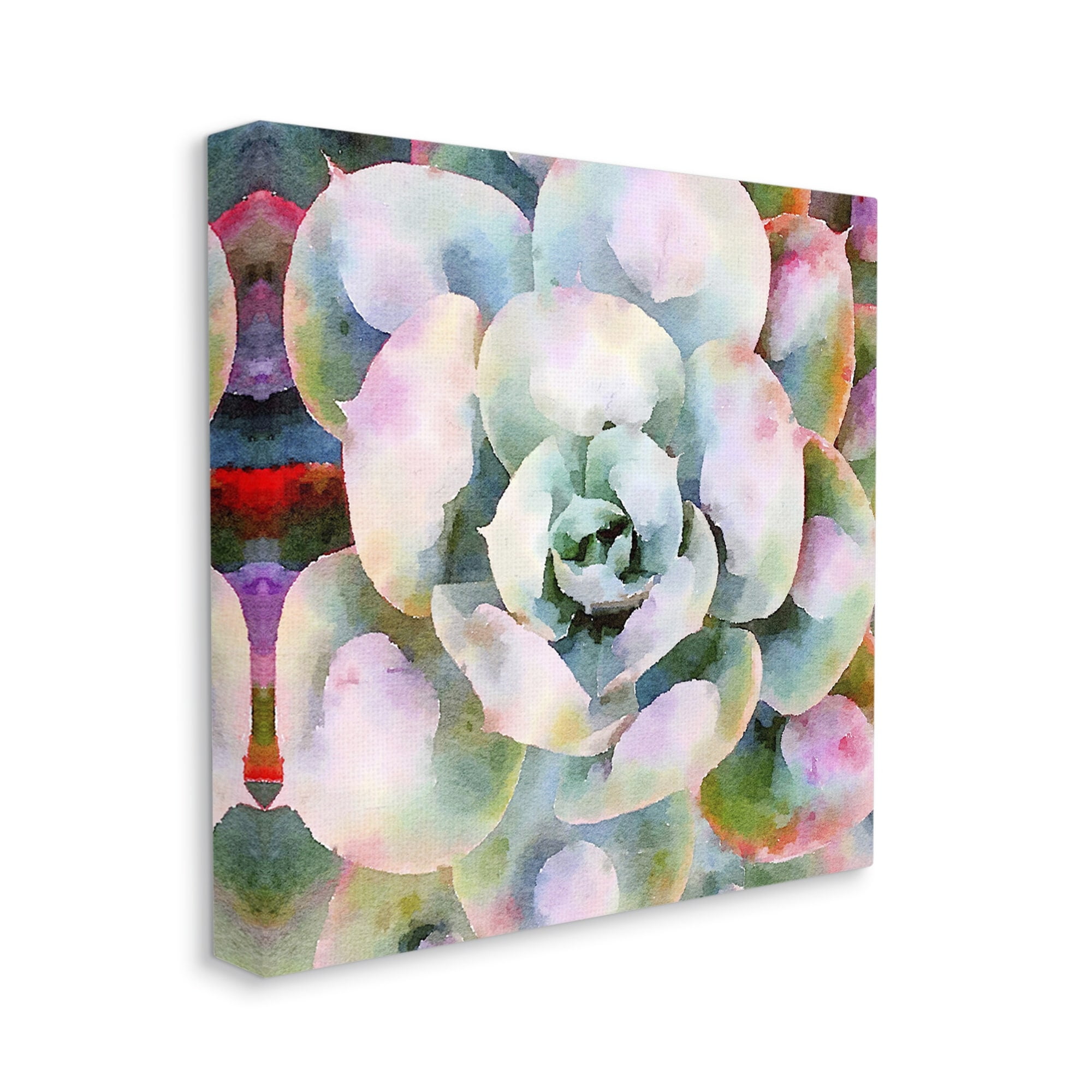 Stupell Industries Succulent Plant Bold Hues Botanical & Floral Painting Gallery Wrapped Canvas Print Wall Art