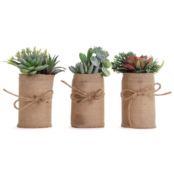 Bornbridge Artificial Succulent Plants - Fake Succulents in Concrete Planter - Faux Garden Arrangement - Mini Plants (Single, Catalina)