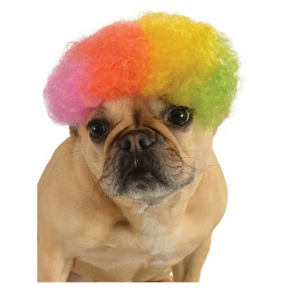Afro Wig Clown Circus Curly Halloween Pet Dog Cat Costume Accessory 3 COLORS