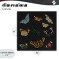 thumbnail image 4 of Stupell Industries Eclectic Insects Group on Black Canvas Art, 17 x 17, by Dan Meneely, 4 of 8