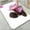 Orchid and Stone, variant on 1pc Paris themed Rose Art Bathroom Rug Bathroom Decor and Accessories- Durable,Anti Slip,And Quick Drying,Suitable For Indoor/outdoor Use - Perfect For Bathrooms,Bedrooms,Kitchens