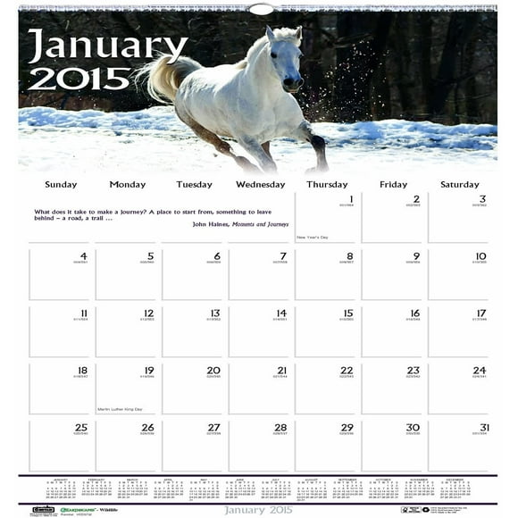 House of Doolittle Earthscapes Wildlife Wall Calendar 12 Months January 2015 to December 2015, 12 X 12-Inch, Color