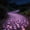 Purple, variant on LULULION 1Pc Hanging Christmas Lights Red LED Low Voltage for Indoor and Outdoor Use