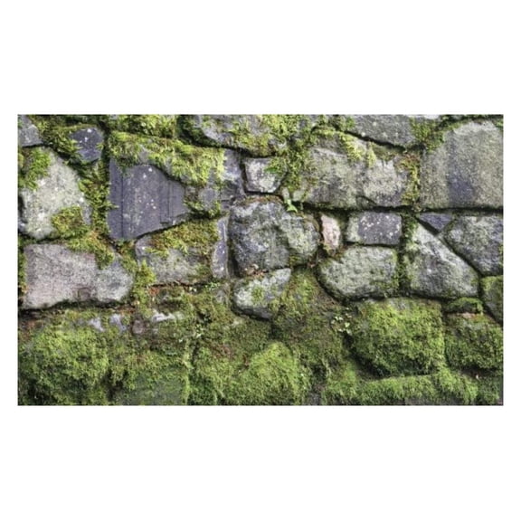 -Window Well Scene-Moss 80" X 40"