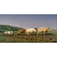 thumbnail image 3 of Bonheur, Rosa 24x14 Black Modern Framed Museum Art Print Titled - Ploughing in the Nivernais, 3 of 5