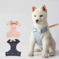 thumbnail image 4 of Pet Dog Harness And Leash Set  Breathable Puppy Dogs Mesh Walking Harness Vest For Chihuahua Small Dogs Cats, 4 of 7