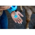 thumbnail image 2 of Liniment Vetericyn Mobility Equine 480 ml para músculos y articulaciones, 2 of 3