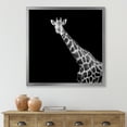 thumbnail image 3 of Designart 'Close Up Portrait Of A Giraffe On Black I' Farmhouse Framed Art Print, 3 of 4