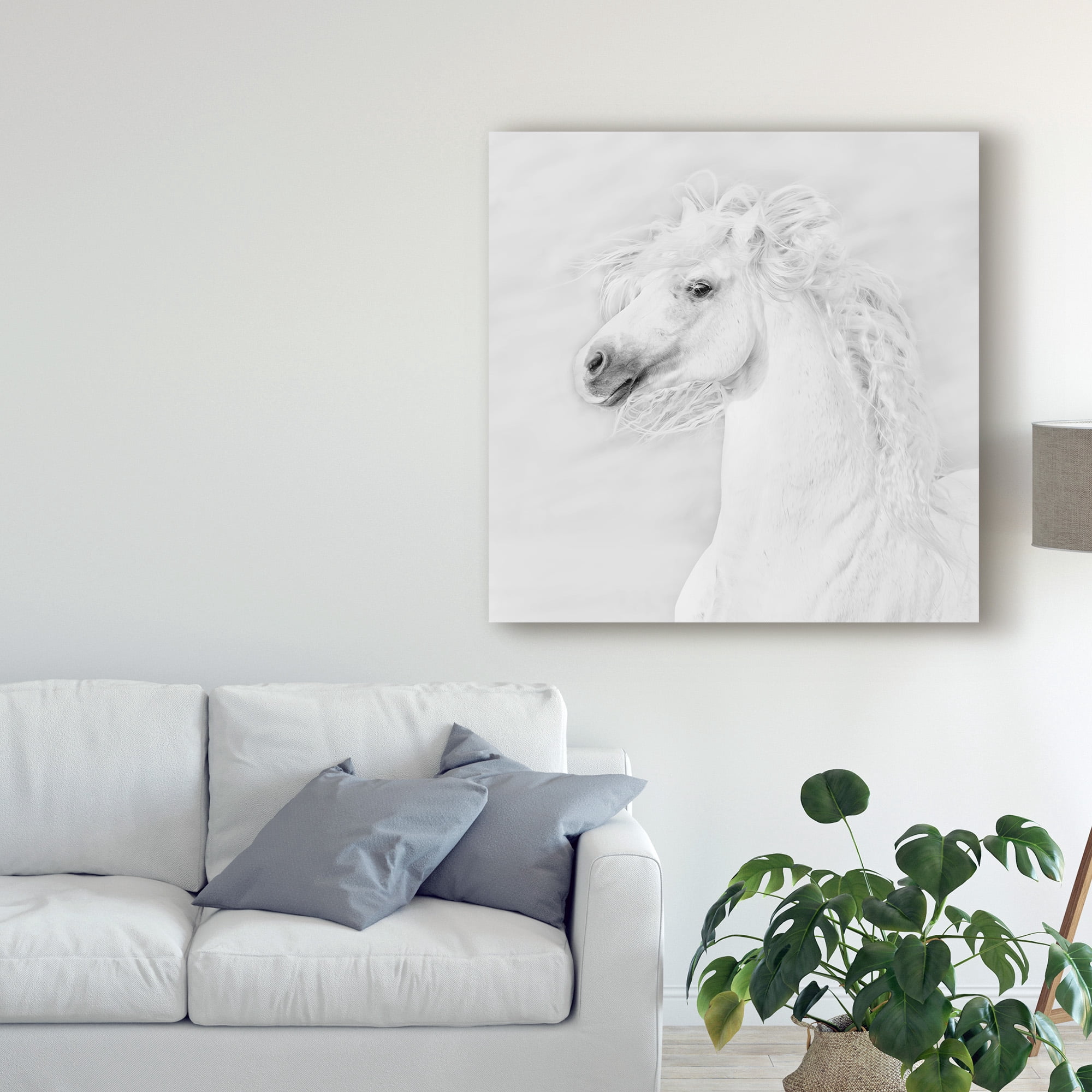 Trademark Fine Art 'Black And White Horses III' Canvas Art by PHBurchett