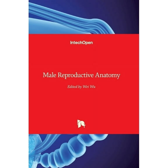 Male Reproductive Anatomy (Hardcover)