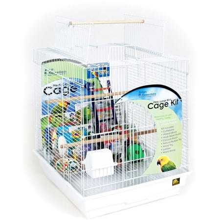 Cinema Contour Fixed Frame Projection Screen