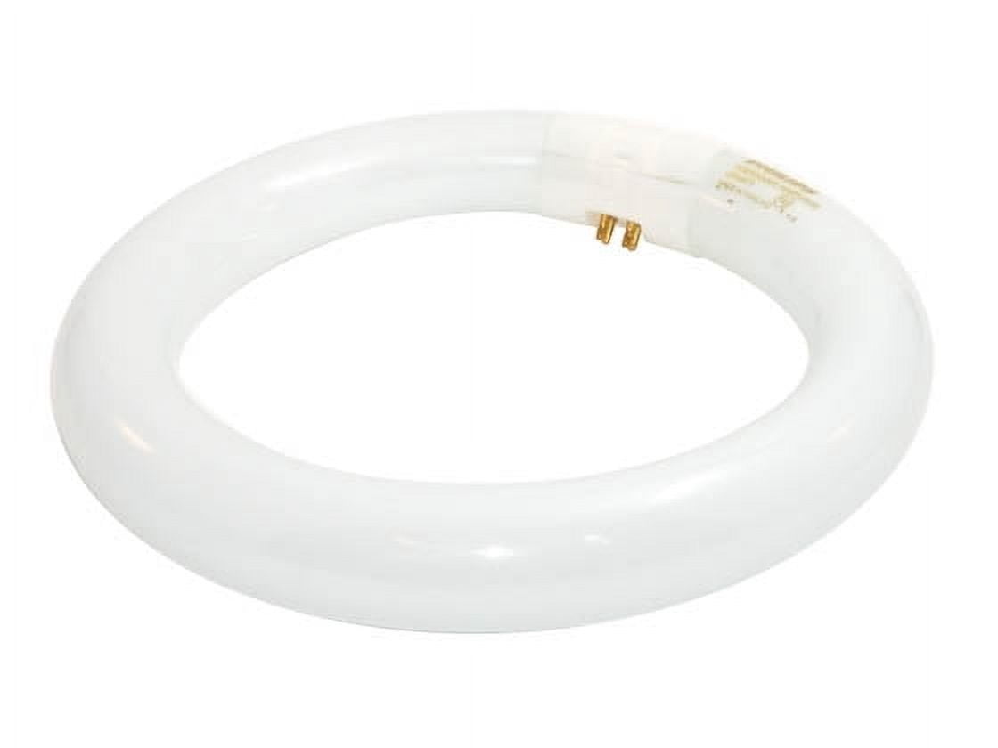 Replacement Circline Bulb, 22W - Illuminated Magnifiers, Luxo - Model 31640 - Each - Model 31640