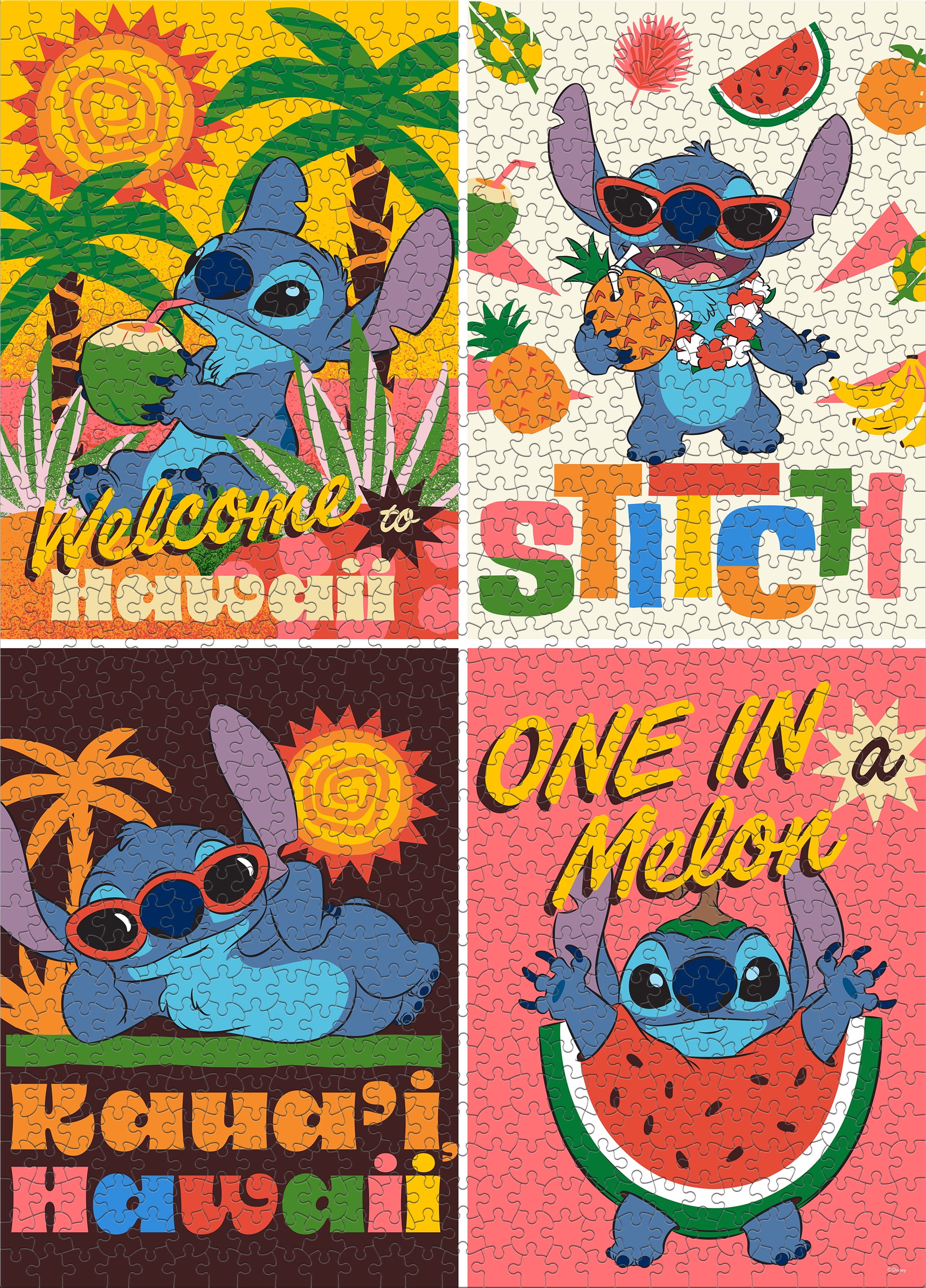 Ceaco 1000 Piece Stitch Collage Interlocking Jigsaw Puzzle