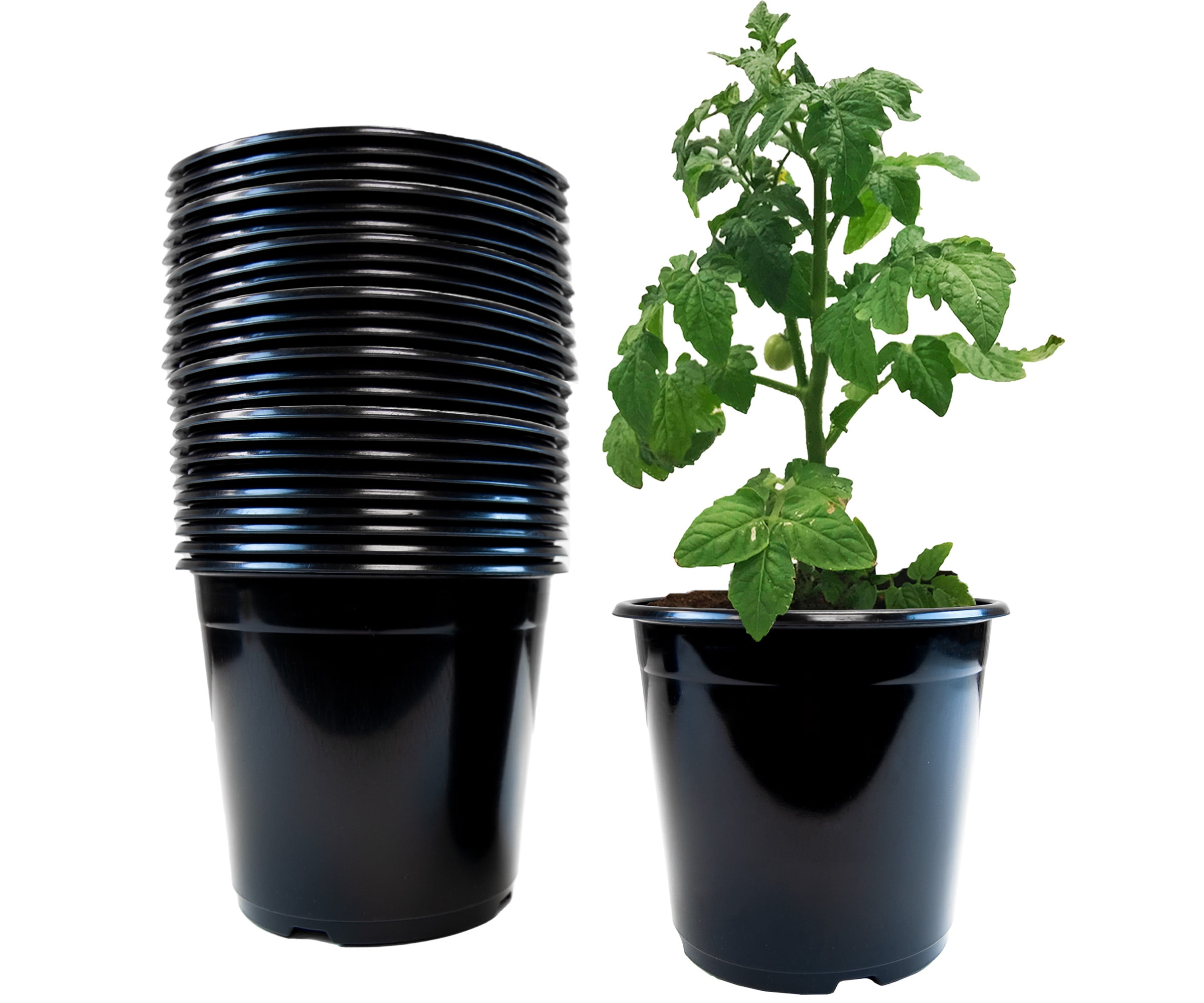 Viagrow Plastic Planter BPA Free Nursery Pots, 24 Pack, 1 Gallon, Black
