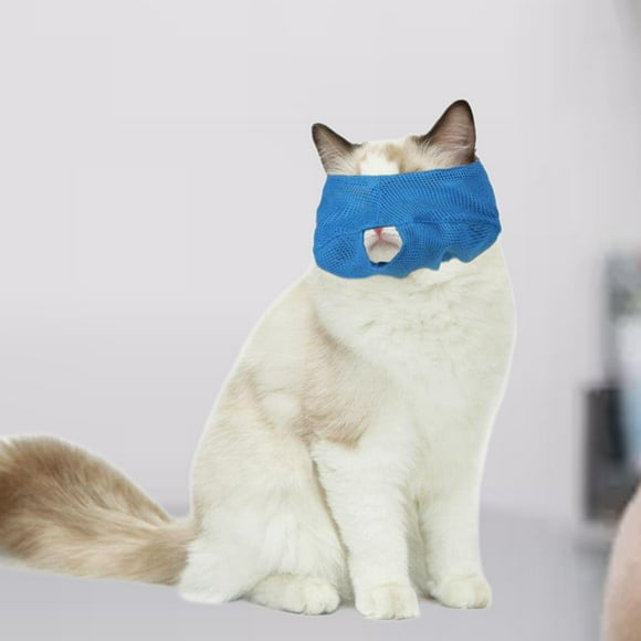 Runquan Pet Eye Anti Bite Excellent Protection Multifunction Cat Eye Patch L and blue
