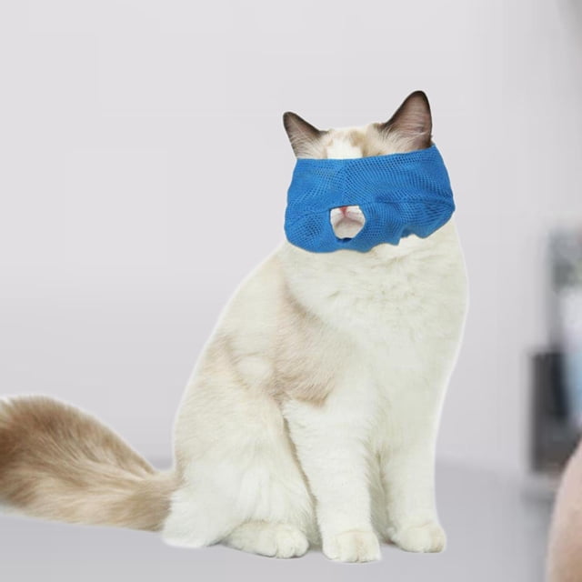 BELOVING Pet Eye Anti Bite Excellent Protection Multifunction Cat Eye Patch S and blue