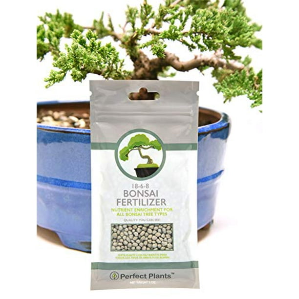 Bonsai Food Pellets by Perfect Plants 5 Year Supply All Natural