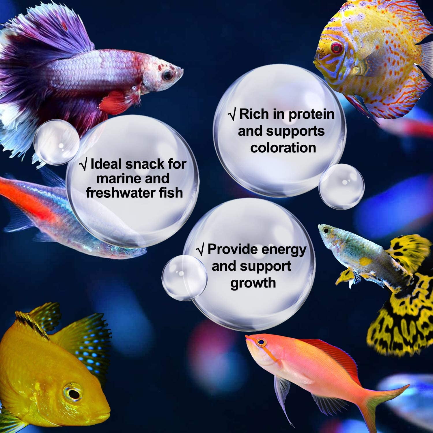 Buy 0.7 oz Freeze Dried Brine Shrimp100 Natural Fish Food, High