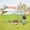 6.36' L x 9.64' W x 6.36' H, variant on Large Metal Chicken Coop Walk-in Poultry Cage Hen Run House Duck House Rabbits Habitat Cage Spire Shaped Coop with Waterproof and Anti-Ultraviolet Cover for Outdoor Farm Use