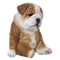 thumbnail image 4 of Sitting Sleepy Bulldog Puppy, 4 of 6