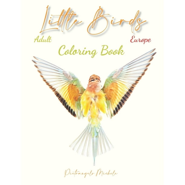 Download Little Birds Europe Adult Coloring Book Bird Coloring Book Pages Birds At Home Coloring Book Beautiful Birds Coloring Book Creative Coloring Book Realxing Coloring Book Age Range 14 100 Paperb Walmart Com