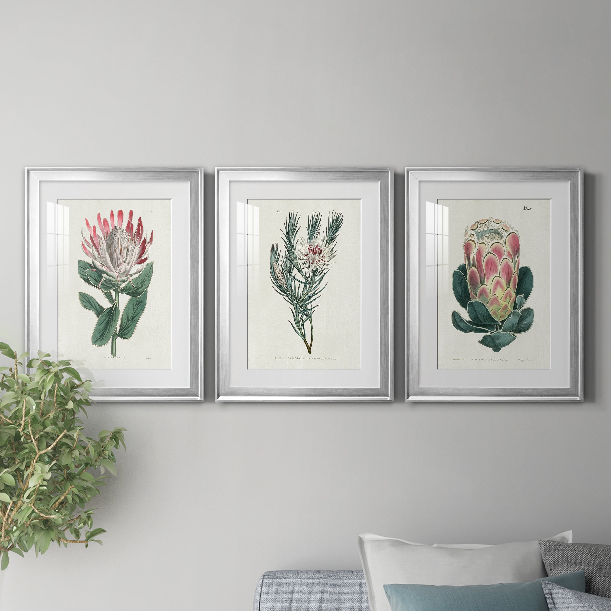 Protea N13 Premium Framed Prints Set of 3 - Ready to Hang - 18 x 24 Each - Silver Frame