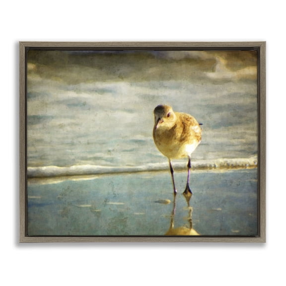 Stupell Industries Traditional Stepping Sandpiper at Shore Brown Floating Frame Canvas Art, 21 x 17, by Graffitee Studios