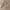 Khaki, variant on Busydd Mens Pants Stretch Drawstring Joggers Sweatpants Regular Fit Solid Color Yoga Sweatpants Full Length Open Bottom Gym Trousers Summer Casual Lightweight Lounge Dress Pants with Pockets,M-5XL
