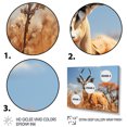 thumbnail image 3 of Designart "Antelope beautyful Wanderer" Animals Floater Framed Canvas Art Print, 3 of 7
