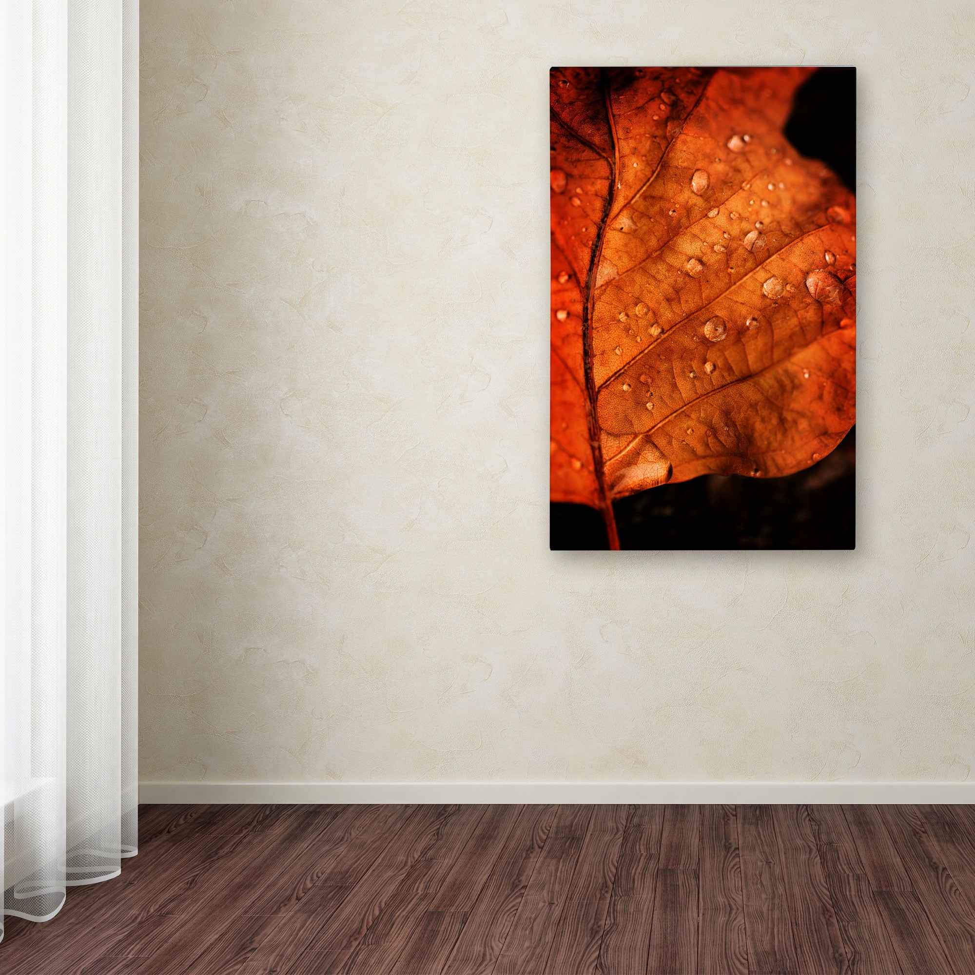 Trademark Fine Art "Autumn Droplets" Canvas Art by Philippe Sainte-Laudy