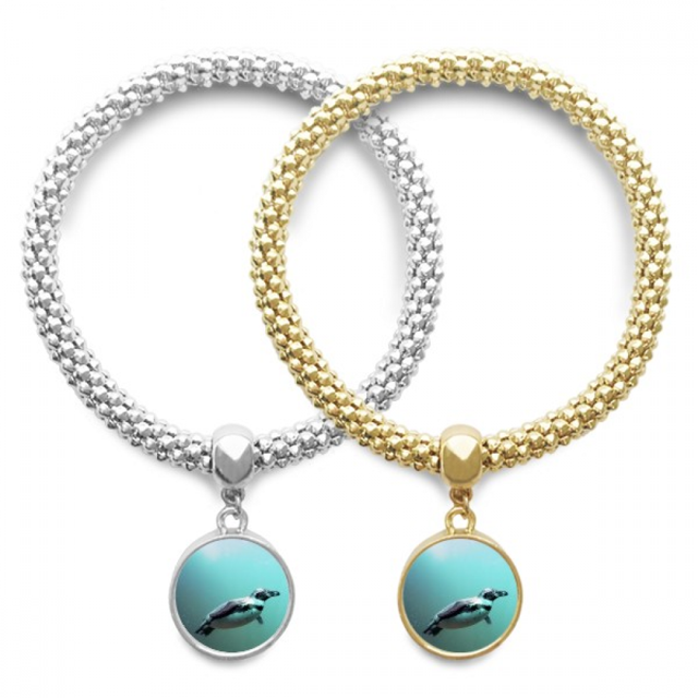 Sea Antarctic Penguin Creature Science Nature Lover Bracelet Bangle Pendant Jewelry Couple Chain