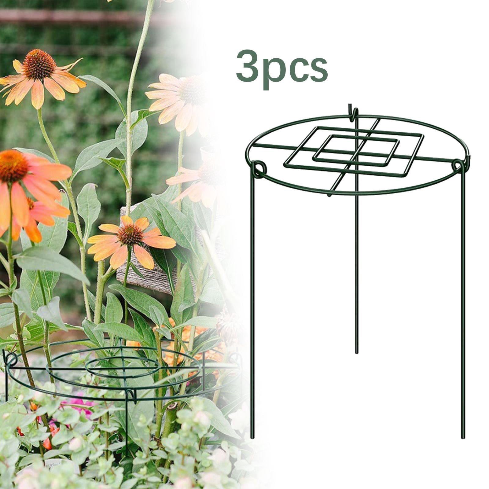 colaxi 3 Pieces Peony Support Cage Strong for Lupin Flopping Flowers Outdoor Plants 30x45cm