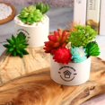 thumbnail image 3 of 18 Pieces Artificial Succulents Plants Assorted Unpotted Realistic Plants Fake Textured Succulent Picks for DIY Home Landscape Decorations - -, 3 of 7