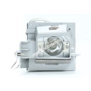 Optoma EC300V Projector Bulb with Module