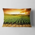 thumbnail image 2 of Designart 12" x 20" Multi-color Polyester Throw Pillow, 2 of 5