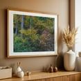 thumbnail image 5 of Admiring the Early Autumn Colors - York Pennsylvania Photography Autumn Forest Nature Woodland Scenic Wilderness Landscape Unframed Wall Art Print 8 x 12 inches, 5 of 7