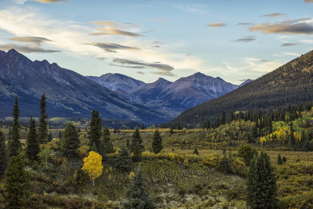 The Landscape Along